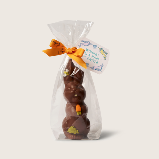 Audrey's Little Bunny