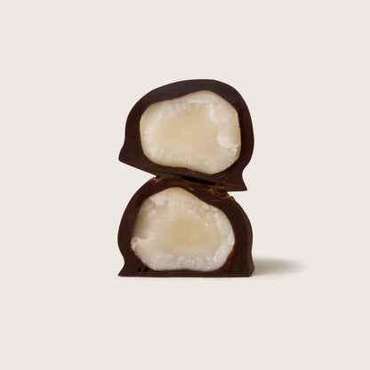 Brazil Nut