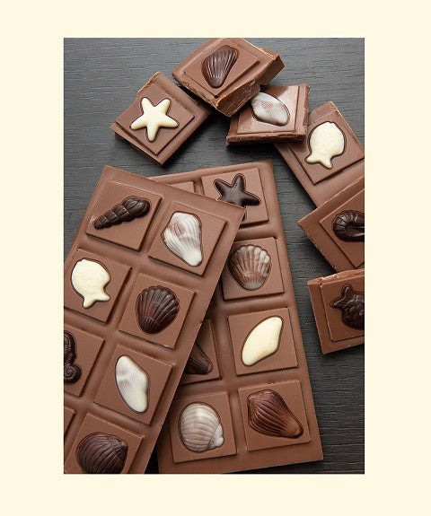 Sea Shell Chocolate Bar