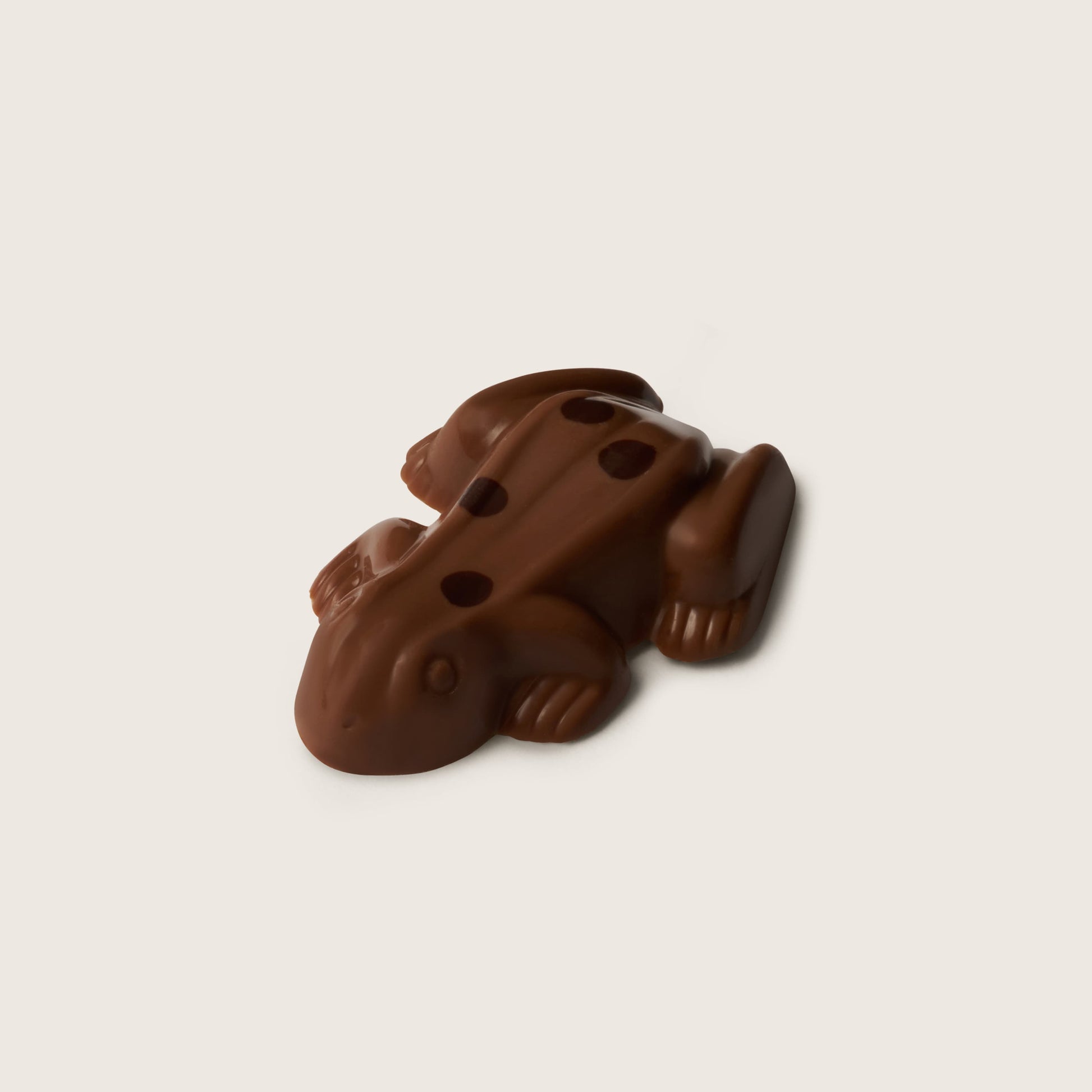 Chocolate frog on a beige background