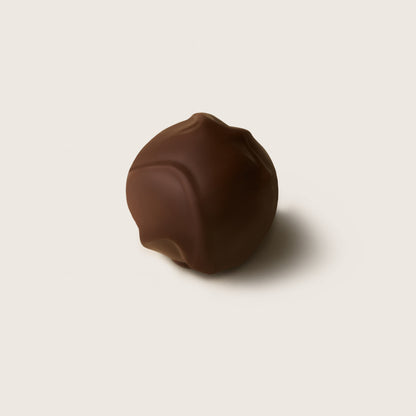 Sea Salt Caramel Truffle