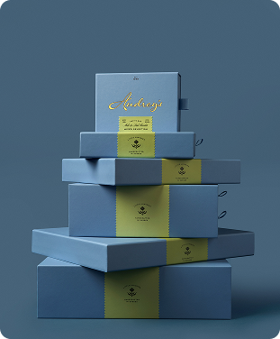 Selection Boxes